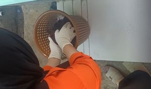 IMG-20260912-WA0012